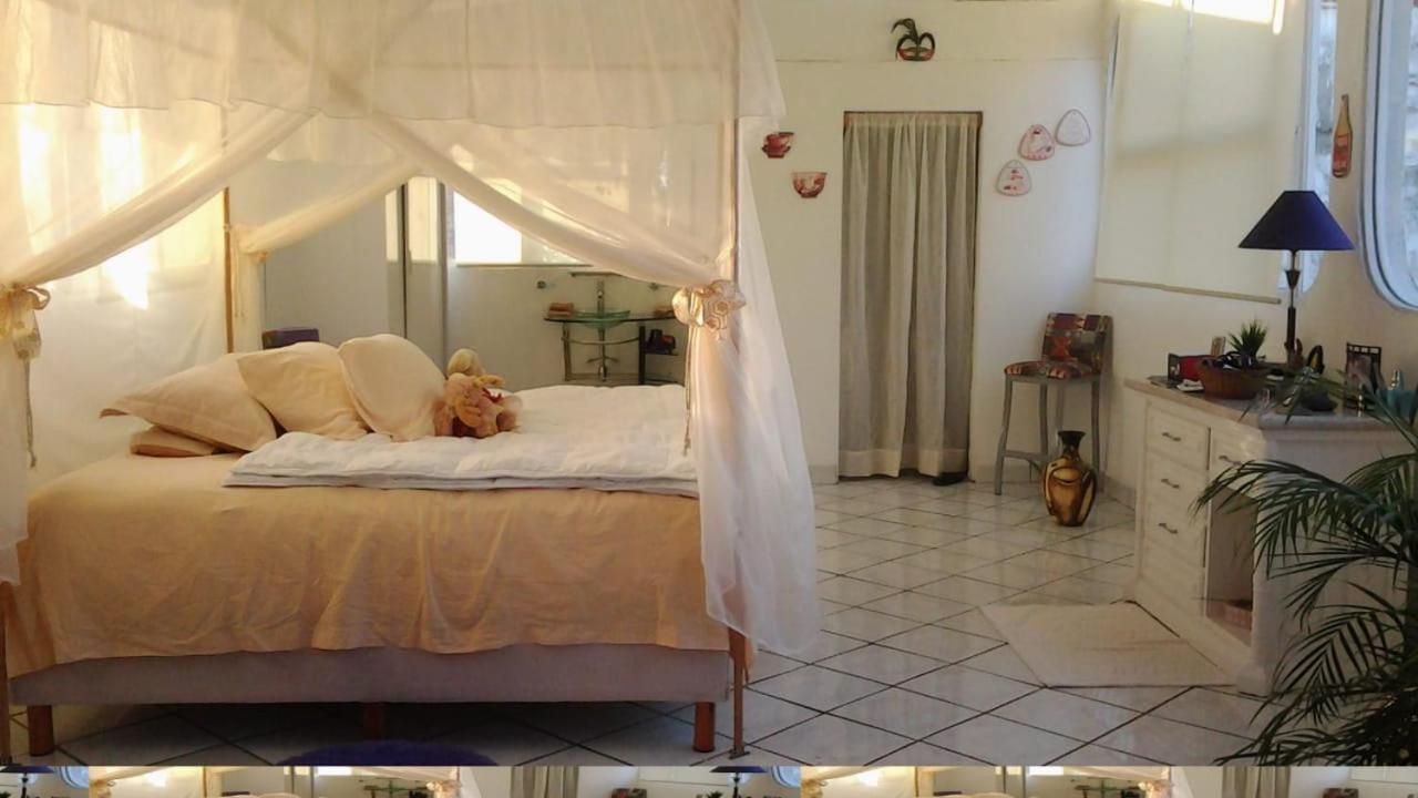 Boutique Basic Hotel 푸에르토 발라타 외부 사진
