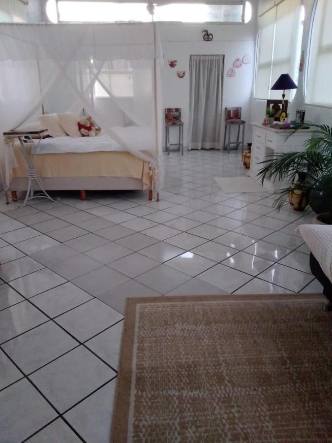 Boutique Basic Hotel 푸에르토 발라타 외부 사진