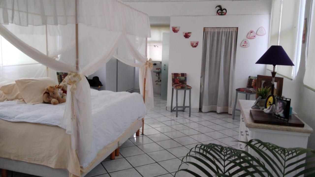 Boutique Basic Hotel 푸에르토 발라타 외부 사진